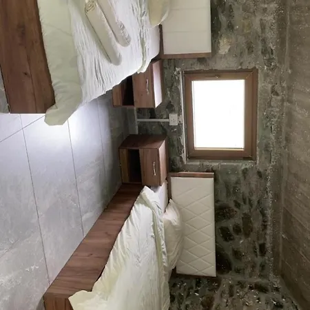 Sylbica *