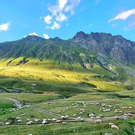 Sylbica * Tropoje